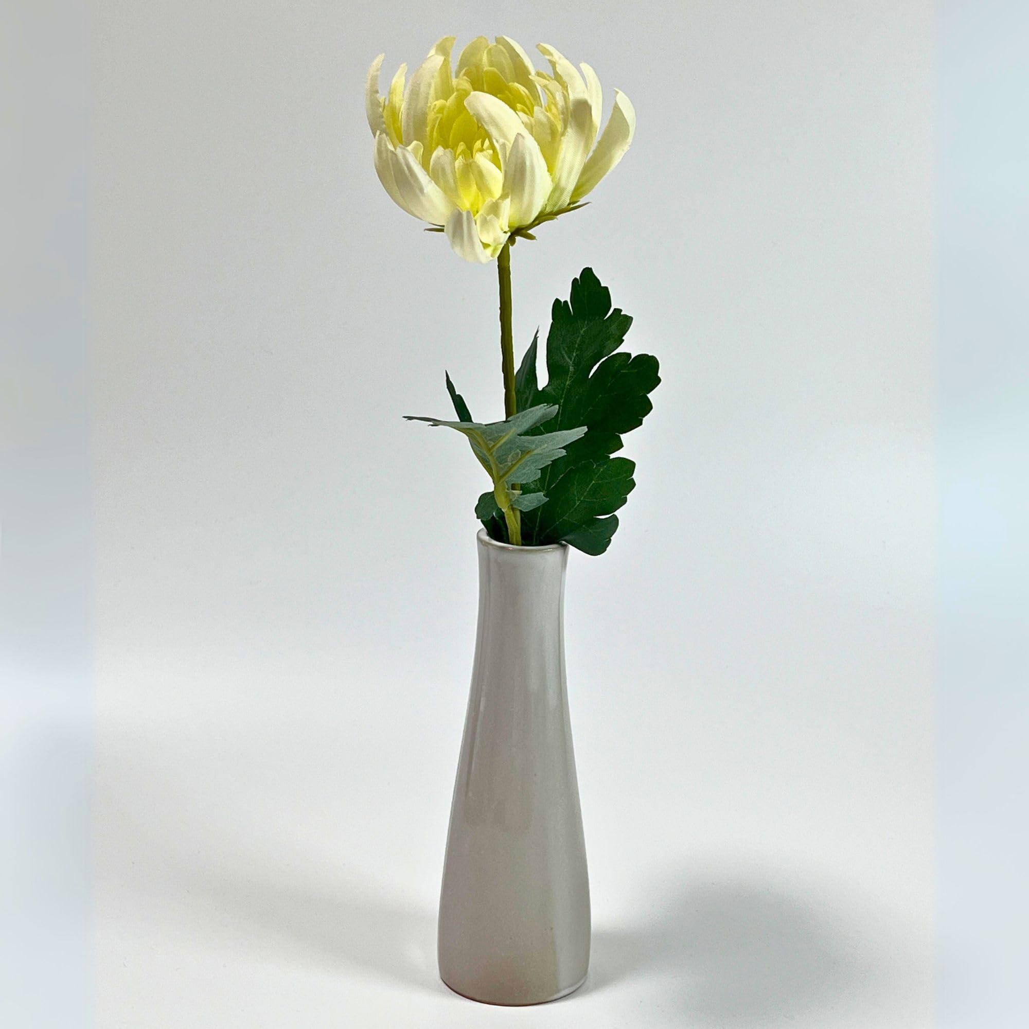 Amazon.co.jp: DeFlor 花瓶 デフロール フラワーベース シンプル 陶器